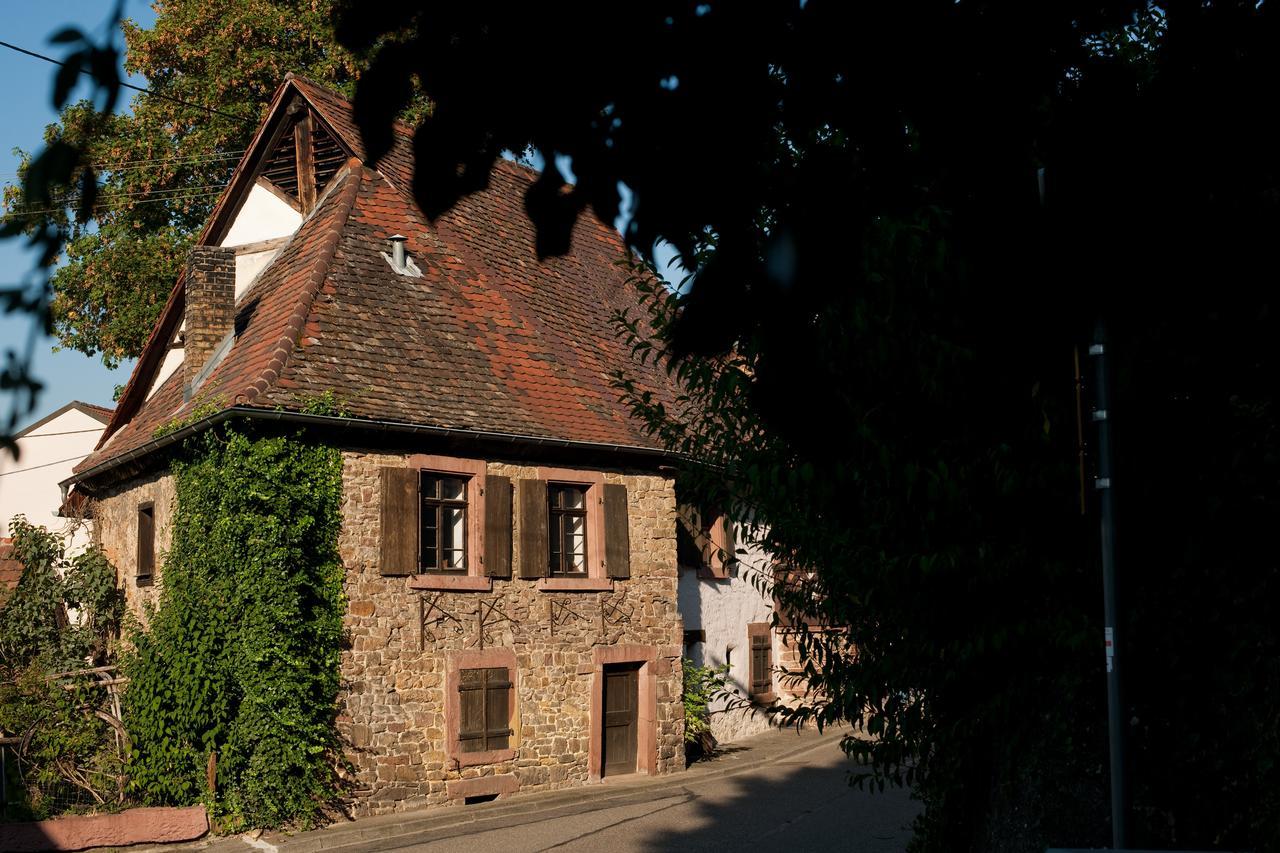 1463 Apartmenthaus Karlsruhe Esterno foto