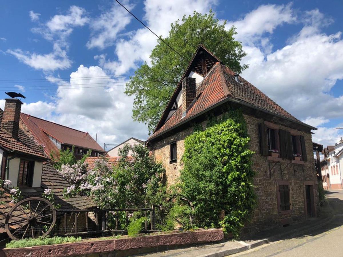 1463 Apartmenthaus Karlsruhe Esterno foto
